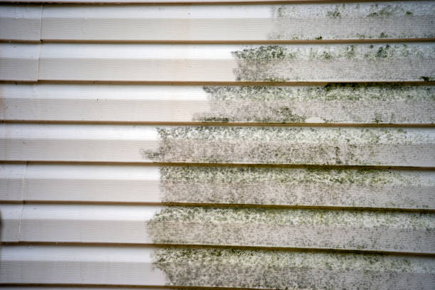 Affordable siding repair and maintenance services in Rodeo, CA
