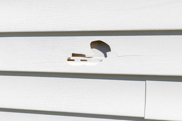 Best Siding for New Construction  in Rodeo, CA