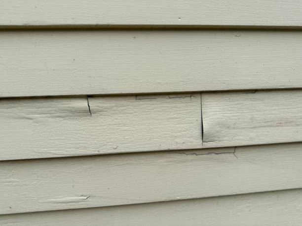 Best Fiber Cement Siding Installation  in Rodeo, CA